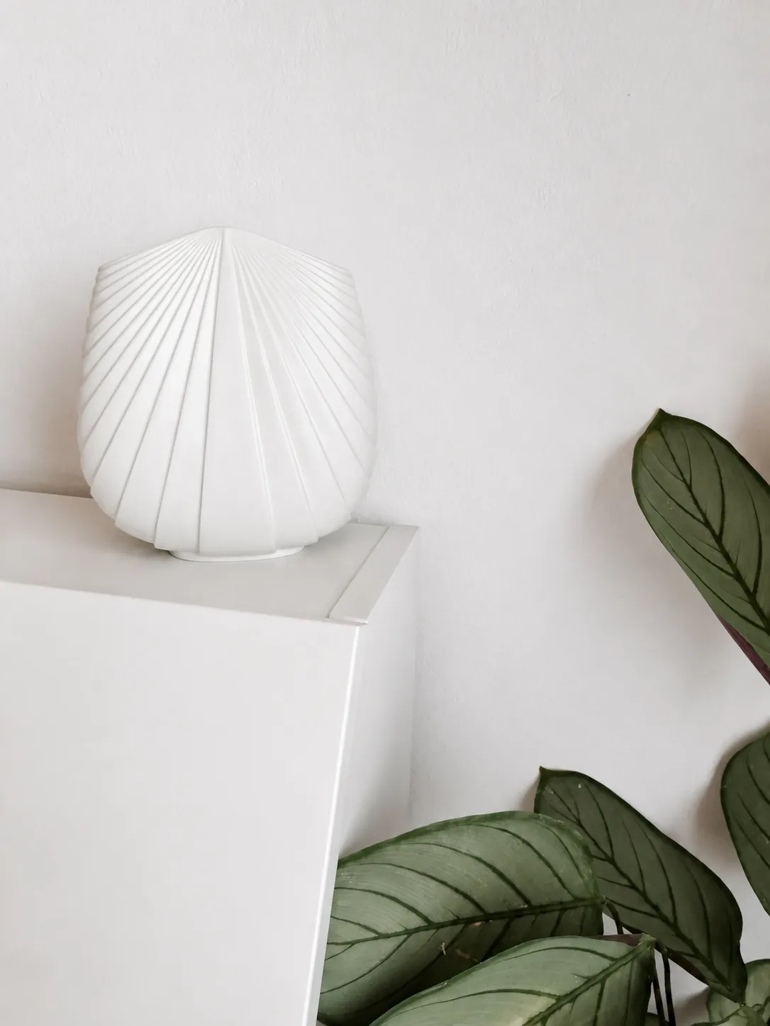 Rosenthal 100 Anniversary Bisque Porcelain Vase by Uta Feyl